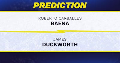 Roberto Carballes Baena vs. James Duckworth Prediction, Odds, Picks for Australian Open 2025