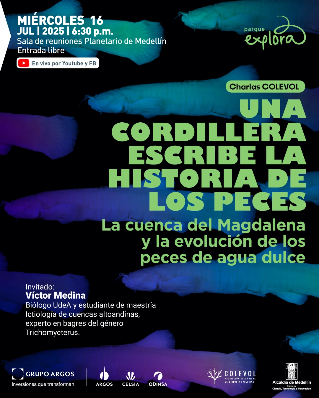 Ilustración. Sobre un fondo negro aparecen varias figuras de peces translúcidos en tonos verde, azul, morado y aqua. En la parte superior izquierda se lee: "Miércoles 16 julio 2025 seis y treinta de la tarde. Sala de reuniones Planetario de Medellín. Entrada libre". Debajo hay un ícono de YouTube acompañado del texto: "En vivo por YouTube y FB". En la parte superior derecha, dentro de un recuadro verde: "Charlas COLEVOL". En el centro de la imagen, en letras grandes: "Una cordillera escribe la historia de los peces". Más abajo: "La cuenca del Magdalena y la evolución de los peces de agua dulce". En la parte inferior izquierda se lee: "Invitado: Víctor Medina. Biólogo UdeA y estudiante de maestría. Ictiología de cuencas altoandinas, experto en bagres del género Trichomycterus".