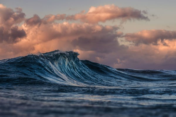 Wave Rider Pro Surfboard