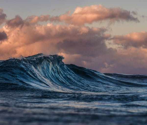 Wave Rider Pro Surfboard