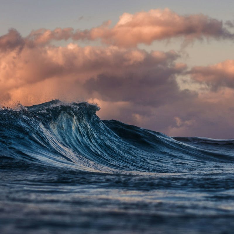Wave Rider Pro Surfboard