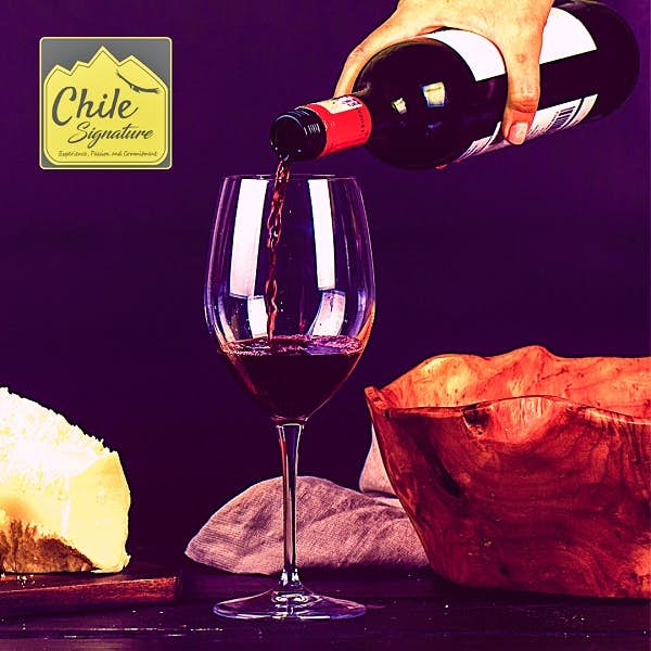 Wine: Everything you need to know before enjoying a glass of Wine's main gallery image