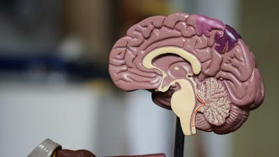 The Future of AI in Healthcare
