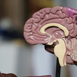 The Future of AI in Healthcare