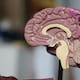 The Future of AI in Healthcare