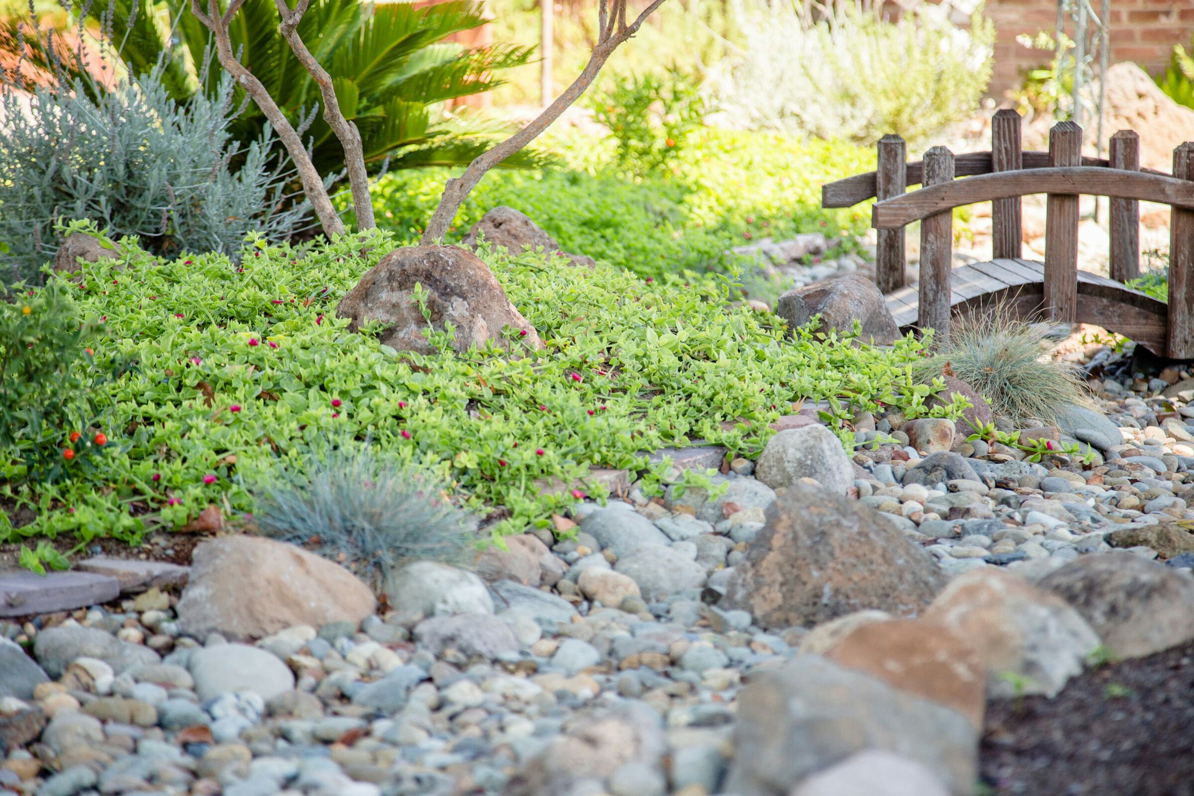 Water Efficient Garden