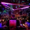 Exotic bar and Jungle lounge | After-dinner parties
