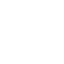 white google logo