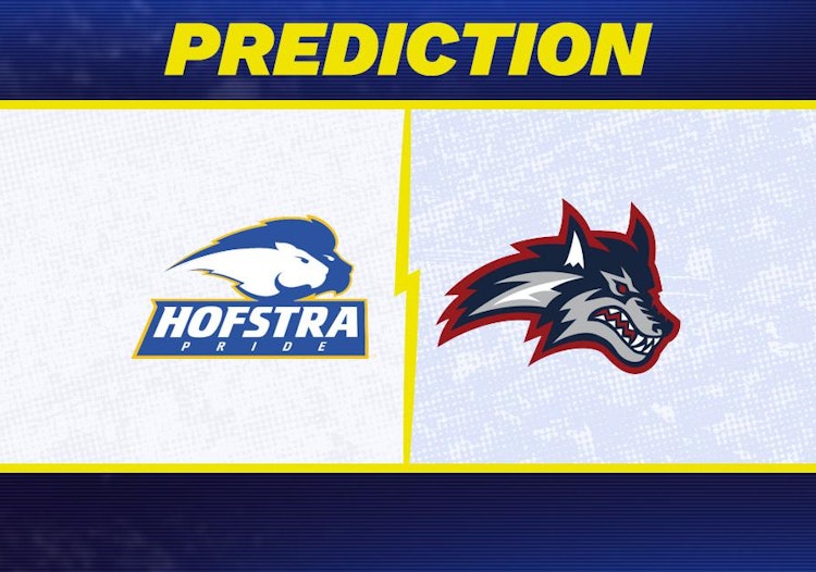 Hofstra-Stony Brook Predictions and Game Preview.
