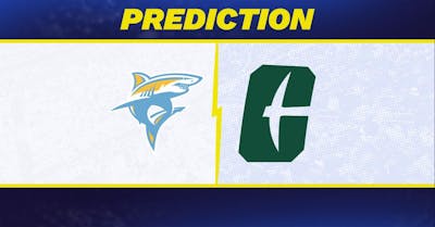 LIU vs. Charlotte Prediction: Charlotte Predicted to Win College Basketball Matchup [11/23/2024]