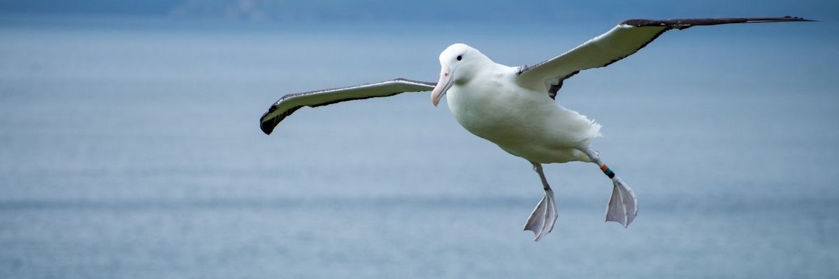 undefined's banner image