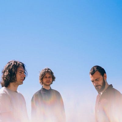 Gondwana Records: Mammal Hands // 03-09-20