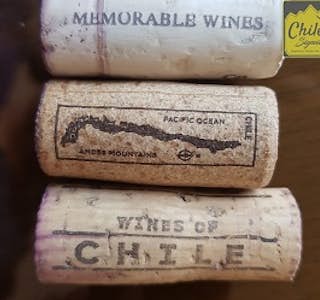 Wine: Everything you need to know before enjoying a glass of Wine's gallery image