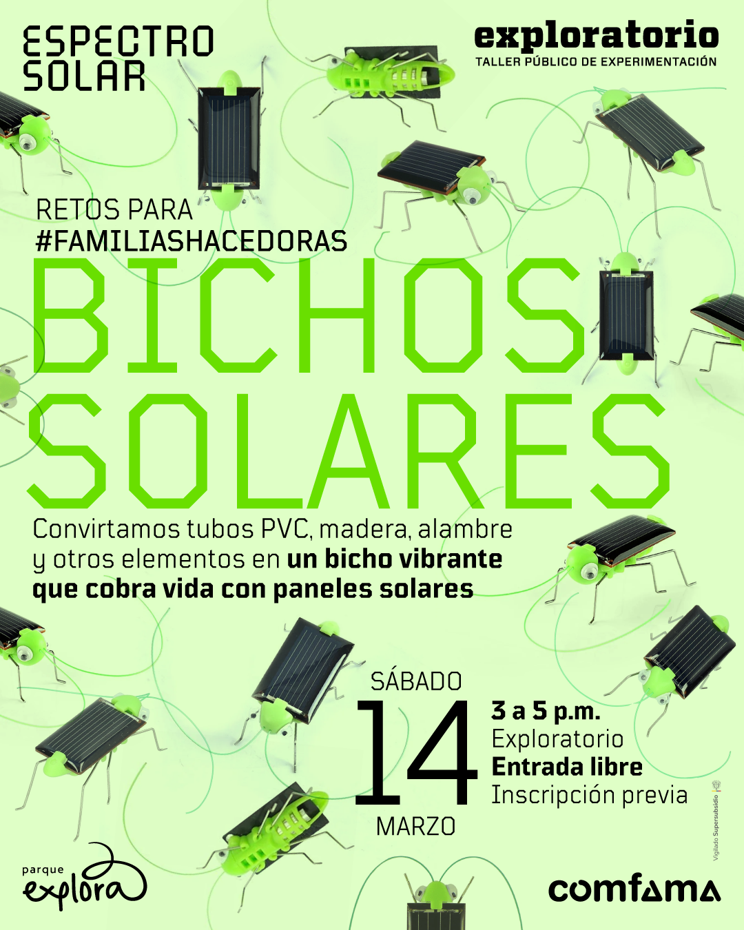 COM-EXP-BICHOS-SOLARES-post.png