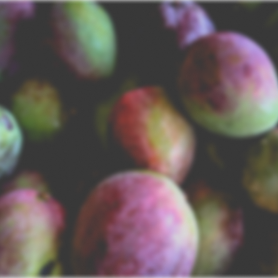 Mango backdrop