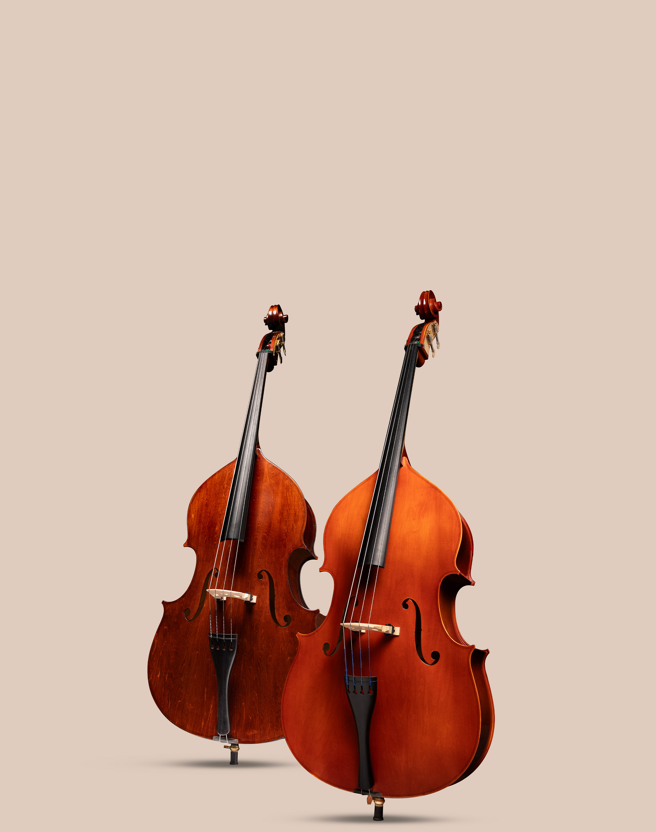 Eastman Eastman