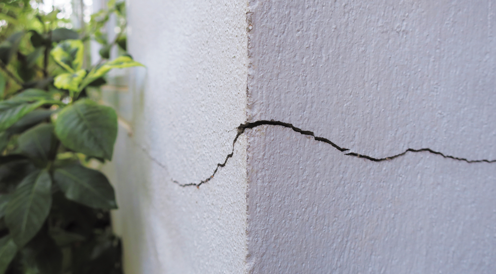 Photo of a cracked foundation next to a green bush
