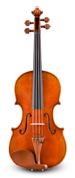 Luigiani バイオリン VL-20  4/4 Amazon | EASTMAN VL80ｾｯﾄ 4/4 バイオリンセット (イーストマン