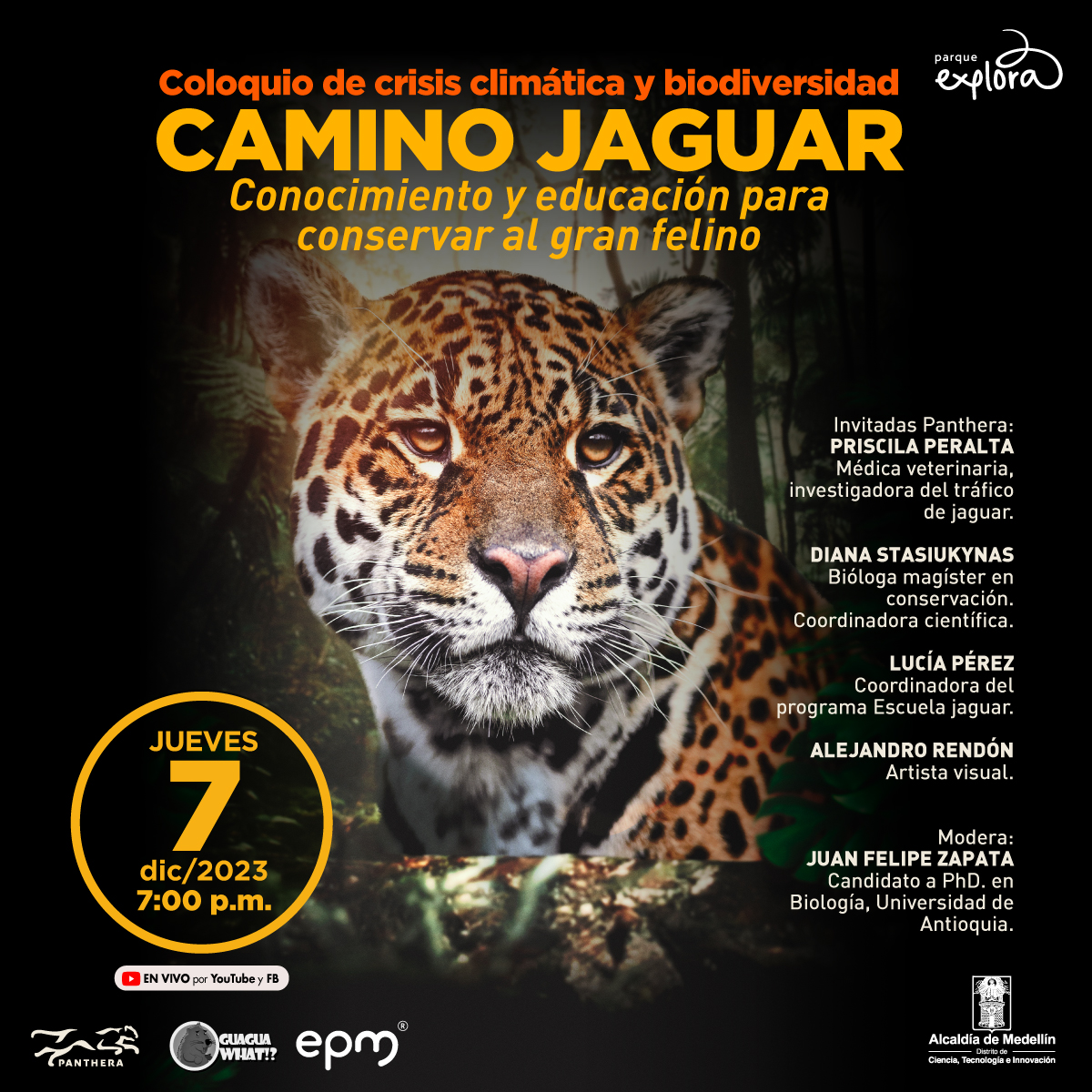 Fotografía. En el centro de la imagen se ve la cabeza de un jaguar, mirando hacia el frente, con orejas redondeadas, pelaje amarillo con manchas negras y parte del rostro blanco, nariz rosada y ojos amarillos. En la parte superior un texto: "Coloquio de crisis climática y biodiversidad, Camino jaguar, Conocimiento y educación para conservar al gran felino Invitadas Panthera: Priscila Peralta, médica veterinaria, investigadora del tráfico de jaguar. Diana Stasiukynas, bióloga magíster en conservación. Coordinadora científica. Lucía Pérez, coordinadora del programa Escuela jaguar. Alejandro Rendón, artista visual. Modera: Juan Felipe Zapata, candidato a phd en Biología, Universidad de Antioquia  Jueves 7 de noviembre de 2023, 7:00 de la noche. En vivo por YouTube y Facebook"