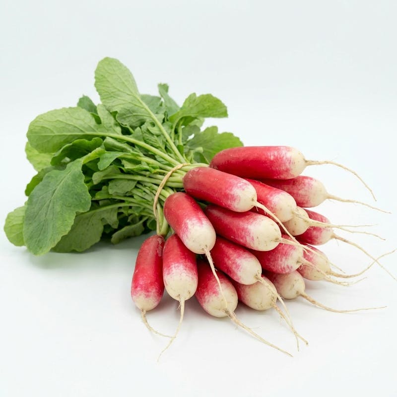 French Breakfast Radish: What It Is and How to Use It