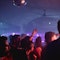 Dance around your own species and howl at the moon: the night is yours!