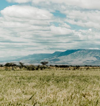 Climb Kilimanjaro - Machame Route - 6 Days