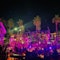 Guest captures one of the many amazing performances in Chambao Cabo