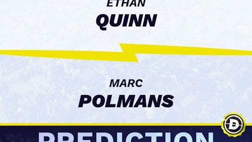 Ethan Quinn vs. Marc Polmans Prediction, Odds, Picks for ATP Hall of Fame Open (Newport) 2024