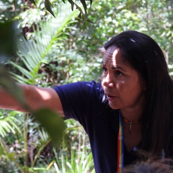 Virtual Aboriginal Tour of Cape Byron's main gallery image