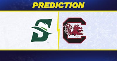Stetson vs. South Carolina prediction: South Carolina favored to win men's college basketball matchup [12/6/2025]