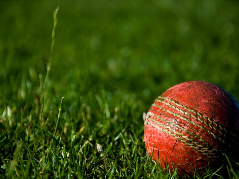 Cricket