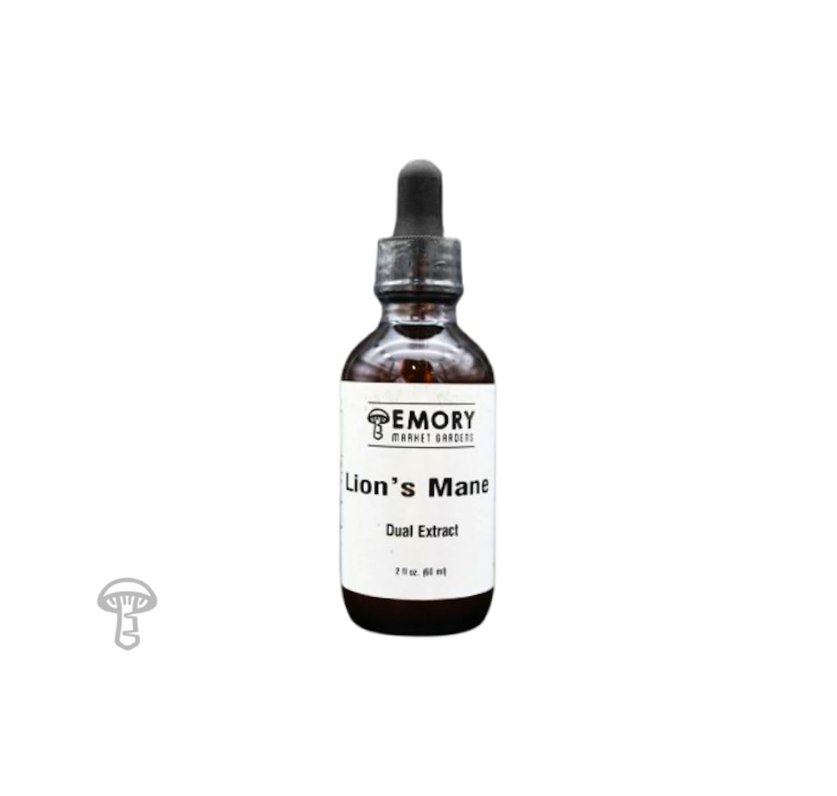 Lion's Mane Extract