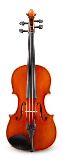 Eastman VL100 Samuel Eastman Series Student Violin Outfit