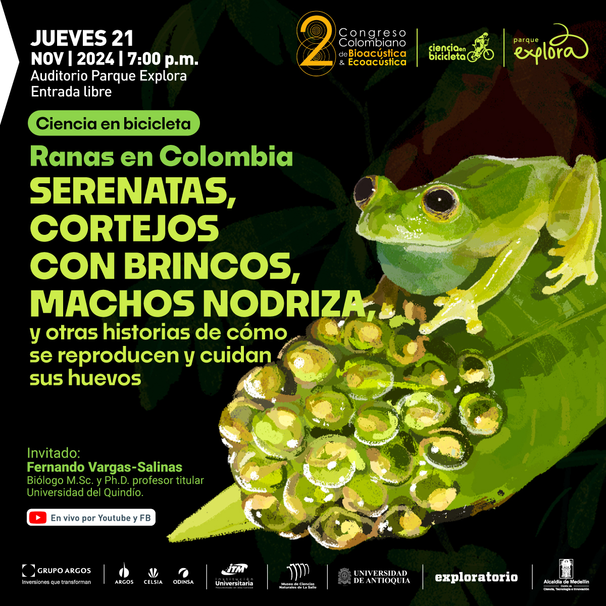 Cartel promocional con fondo oscuro y una ilustración de una rana verde sobre un racimo de huevos. En la parte superior izquierda se lee: "Jueves 21 de noviembre de 2024 a las 7 de la noche. Auditorio Parque Explora. Entrada libre". Un recuadro verde con texto negro dice: "Ciencia en bicicleta". Debajo, en letras grandes y verdes: "Ranas en Colombia. Serenatas, cortejos con brincos, machos nodriza". En texto más pequeño, se añade: "y otras historias de cómo se reproducen y cuidan sus huevos". En la parte inferior izquierda se detalla el invitado: "Fernando Vargas-Salinas, biólogo M.Sc. y Ph.D., profesor titular Universidad del Quindío". Abajo, se indica que lee: "En vivo por YouTube y Facebook".