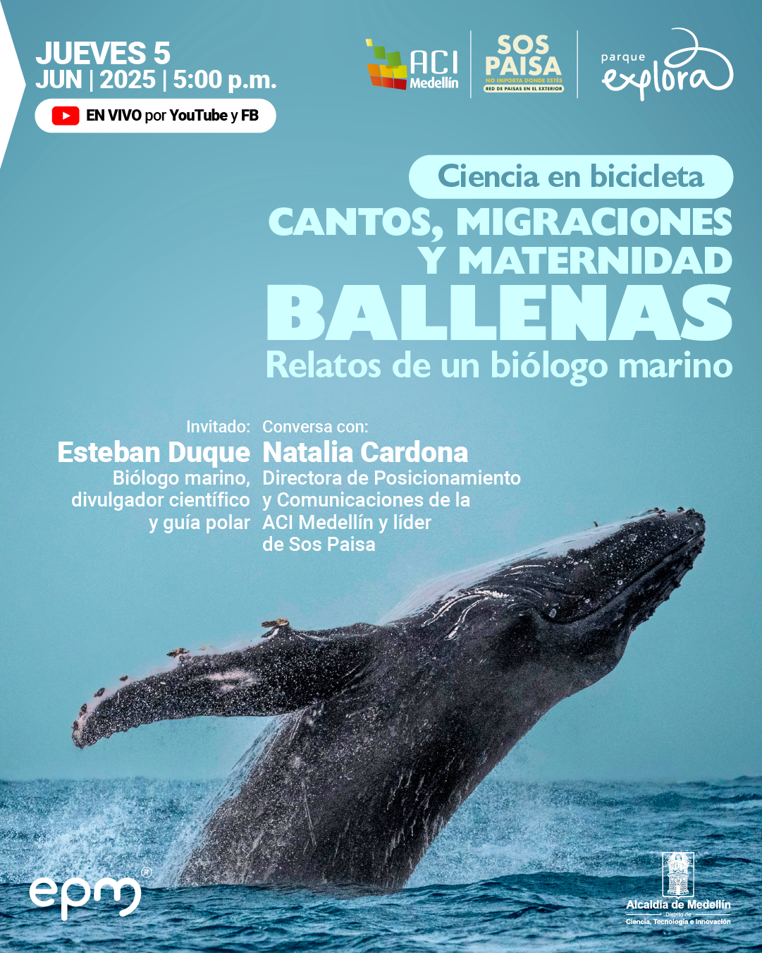 Fotografía. Sobre un fondo azul celeste, se observa una ballena jorobada emergiendo del océano, con parte de su cuerpo fuera del agua y varias aves posadas sobre su aleta. En la parte superior izquierda se lee: "Jueves 5 de junio de 2025 a las cinco de la tarde". Debajo, un recuadro indica: "En vivo por YouTube y Facebook". En la parte superior derecha aparecen los logotipos de las entidades organizadoras. Más abajo, el texto dice: "Ciencia en bicicleta. Cantos, migraciones y maternidad. Ballenas. Relatos de un biólogo marino". En la parte inferior izquierda, el texto indica: "Invitado: Esteban Duque, biólogo marino, divulgador científico y guía polar". Junto a este, se lee: "Conversa con: Natalia Cardona, directora de Posicionamiento y Comunicaciones de la ACI Medellín y líder de Sos Paisa".