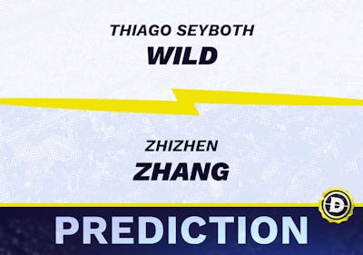 Thiago Seyboth Wild vs. Zhizhen Zhang Prediction, Odds, Picks for ATP Hamburg Open 2024