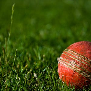 Pro Elite Cricket Bat view 2