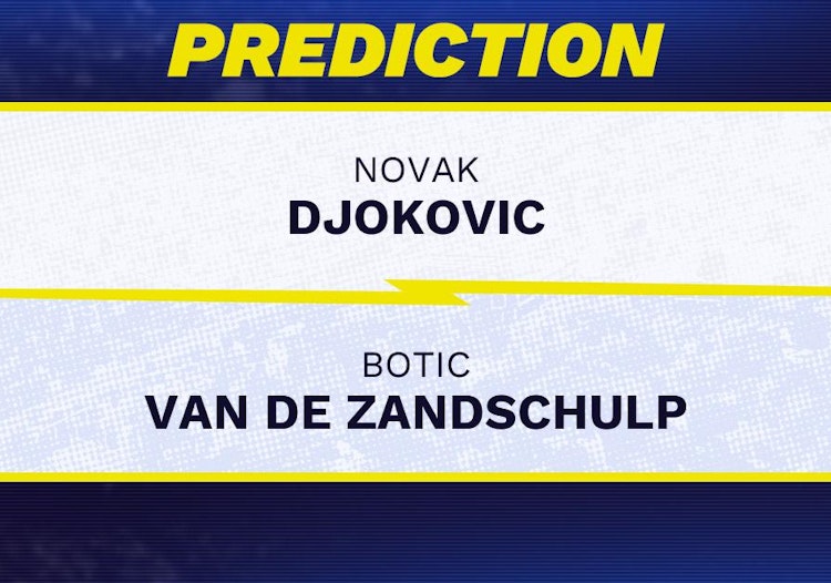 Novak Djokovic vs Botic Van de Zandschulp Tennis Prediction.