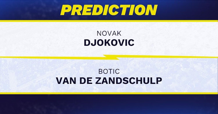 Novak Djokovic vs Botic Van de Zandschulp Tennis Prediction.
