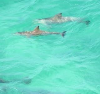 Virtual Aboriginal Tour of Cape Byron's gallery image