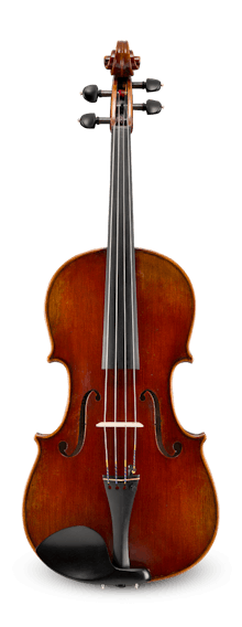 viola ZETA Jazz Modern 16-inch VIOLA with MIDI OUT, spalted flamed