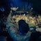 The vision of Damian Lazarus comes alive at the lively Mia Tulum