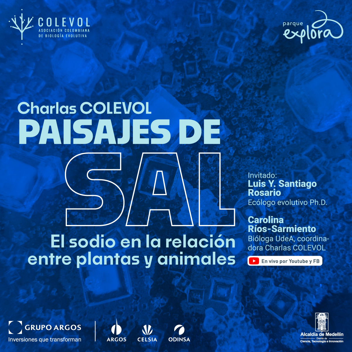 Foto de microscopio. En tonos azules aparecen cubos de diferentes tamaños por toda la imagen. En el centro de la imagen un texto que dice: "Miércoles 25 de septiembre de 2024 a las 6:30 de la tarde. Charlas COLEVOL. Paisajes de Sal. El sodio en la relación entre plantas y animales. Invitado: Luis Y. Santiago Rosario, ecólogo evolutivo PhD. Carolina Ríos Sarmiento, bióloga UdeA, coordinadora Charlas COLEVOL. En vivo por YouTube y Facebook".