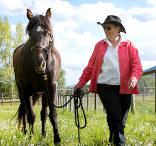 A Day at Dunrovin Ranch's gallery image