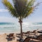 The rhythm of the tides & live music