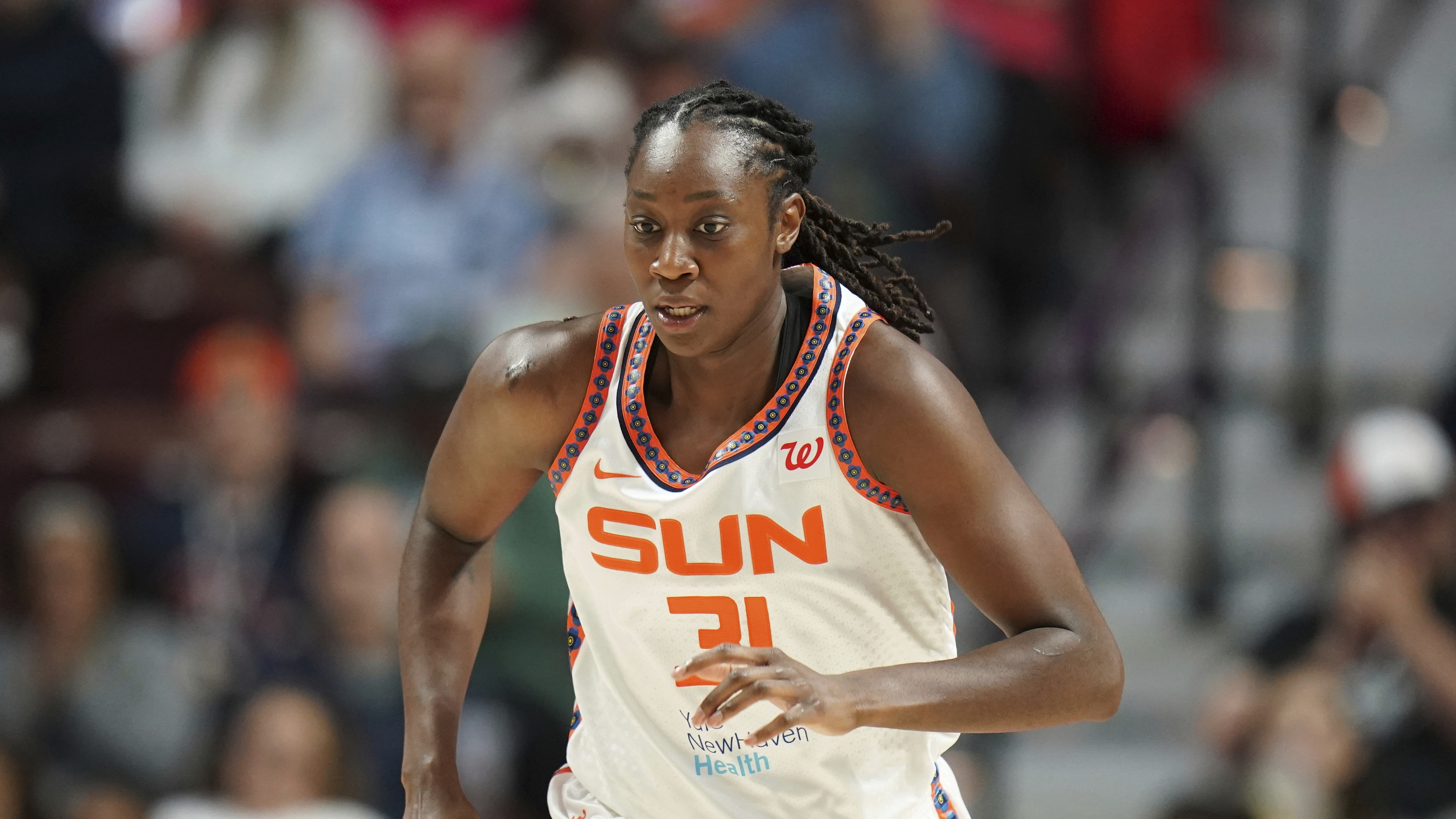 Sun_Basketball_25140363089530.jpg