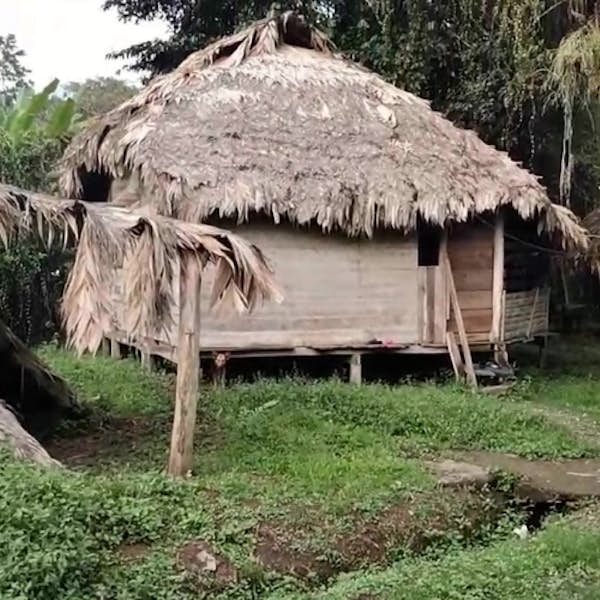 Chocolate Making with an Indigenous Tribe's main gallery image