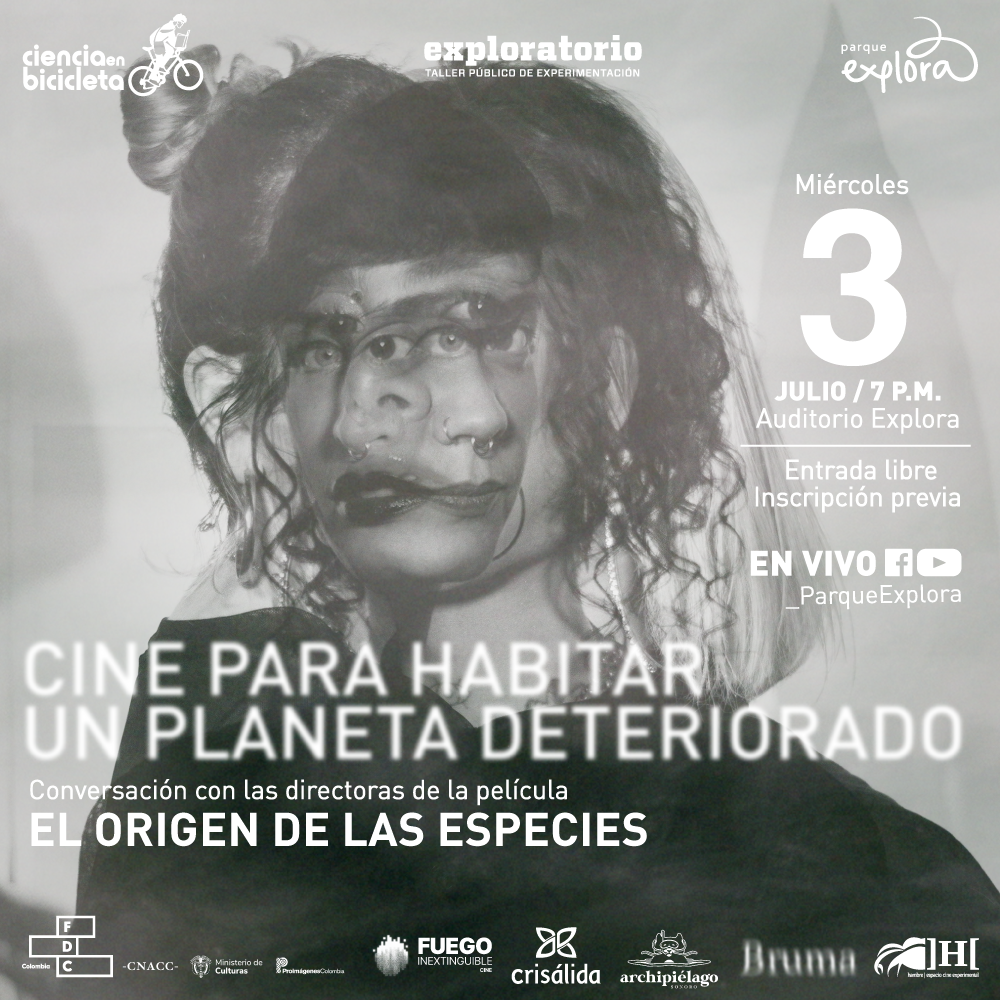 cine2_01-1.png