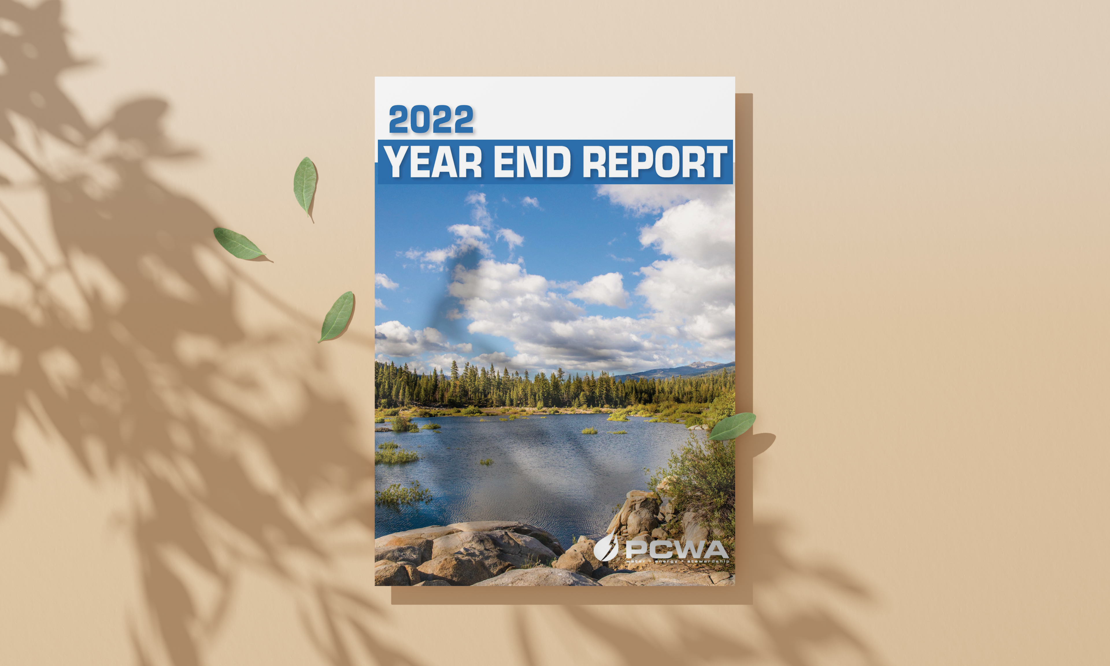 2022 Year End Report graphic