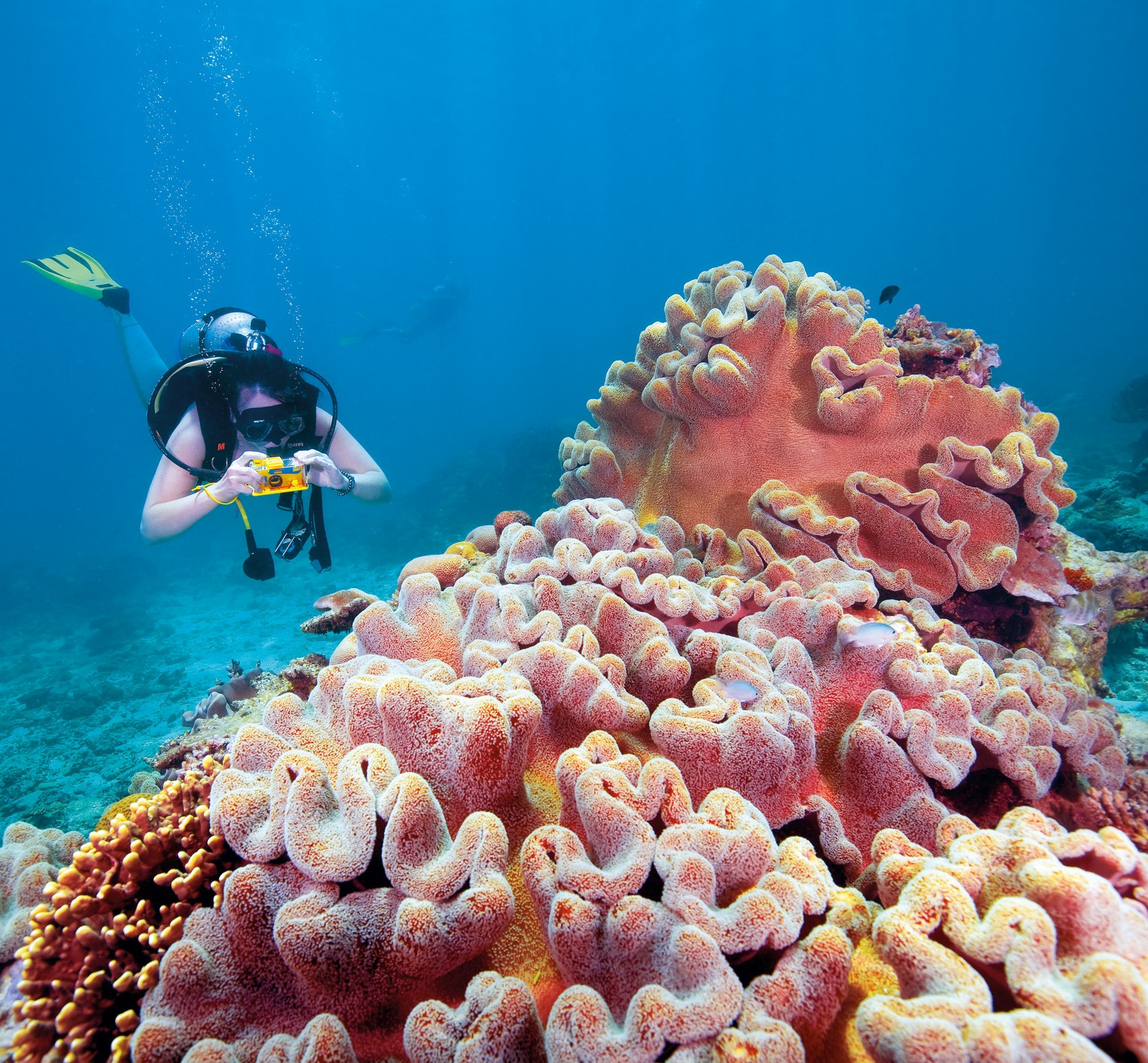 Great Barrier Reef Holidays